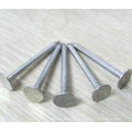 Hight qualidade telhado de aço galvanizado prego (5MM-9MM)